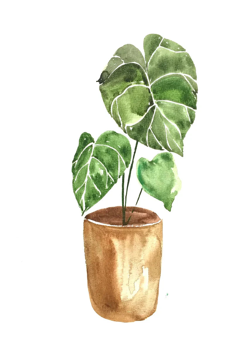 Plant Potted Watercolor Poster Family Garden Houseplant Botanical Canvas Printing Wall Art Picture for Living Room Home Decor Peaceful Pleasures Health and Wellness DM92-1 20x30cm Unframed