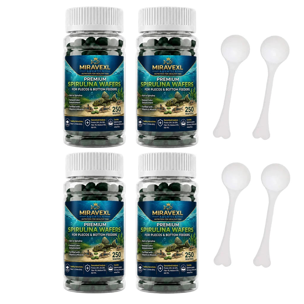 Spirulina Sinking Tablets – Aquarium Food for Plecos & Bottom Feeders