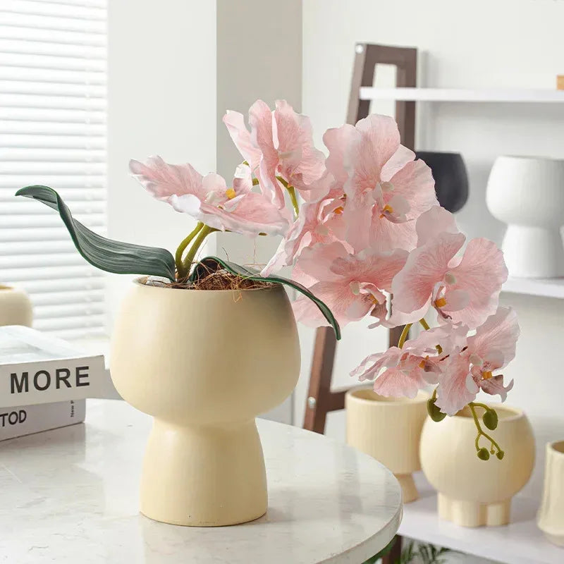 Ceramic INS Style Plant Pot | Succulent & Indoor Desk Décor