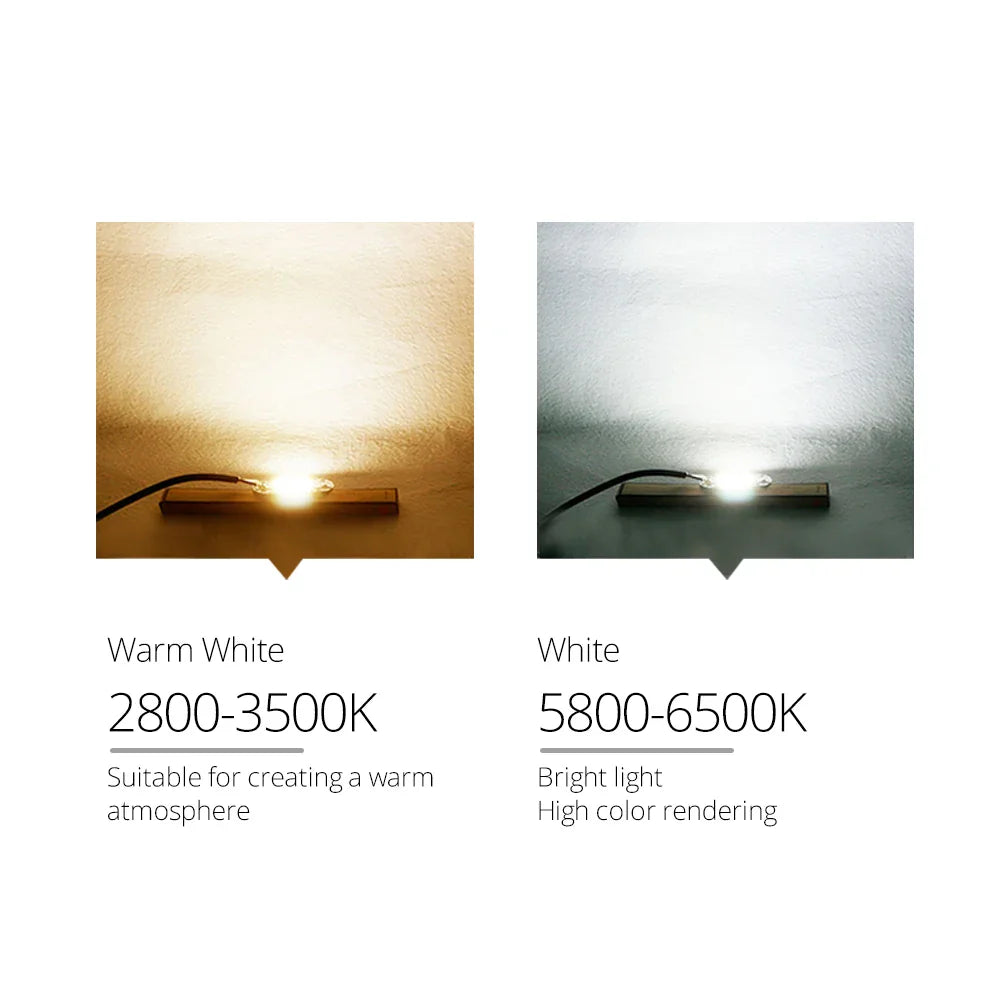 COB LED Chip 20W 30W 50W AC 110V/220V No Driver DIY Flood Light