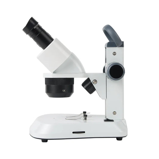 Stereoscopic Microscope with Three Variable Magnification Lenses and Oblique Led Light Source 10X20X40X Peaceful Pleasures Health and Wellness 10x 20x 40x