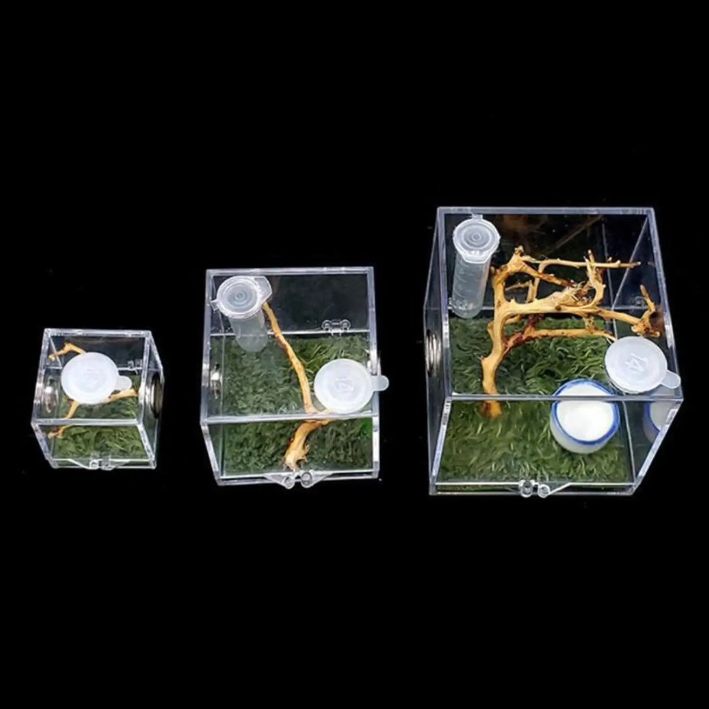 Small Reptile Feeding Box for Breeding and Feeding Insects Peaceful Pleasures Health and Wellness