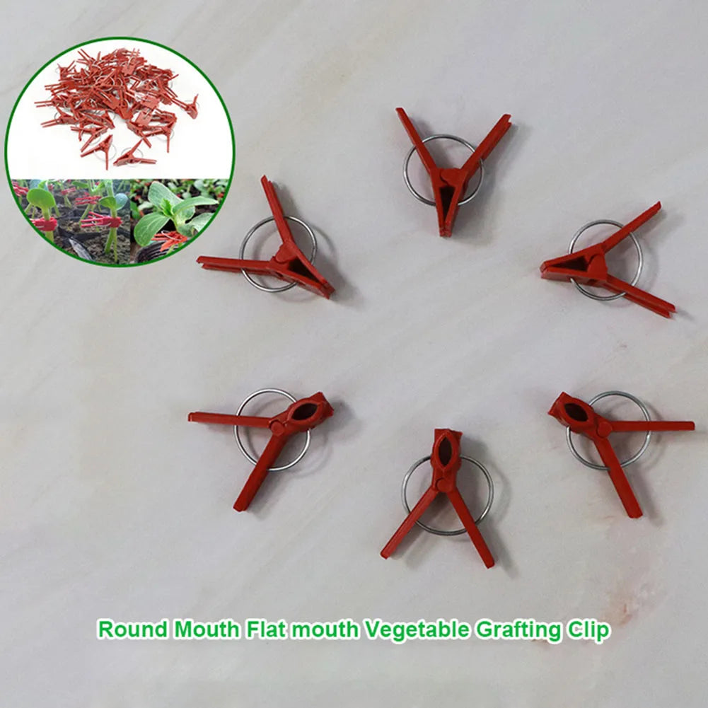 Plant Grafting Clip Plastic Premium Garden Tools Cucumber Eggplant