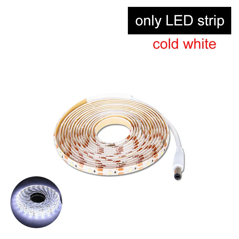 PIR Motion Sensor LED Strip Light DC12V Waterproof 1M–5M