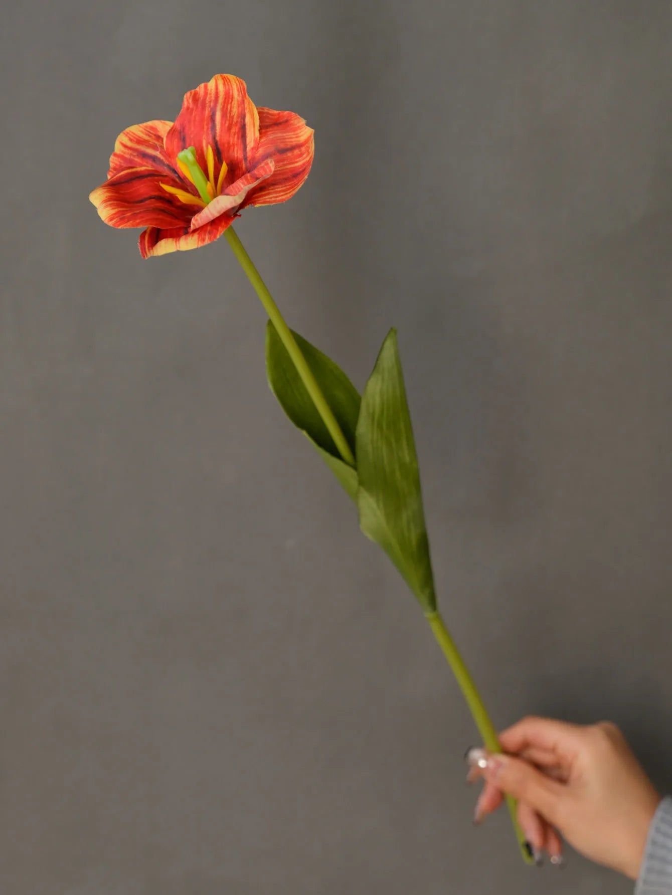 Silk Tulip Long Branch Artificial Flower | Home Decor
