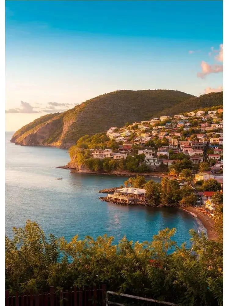 Martinique Beach Ocean Vintage Canvas Wall Art | Unframed Print