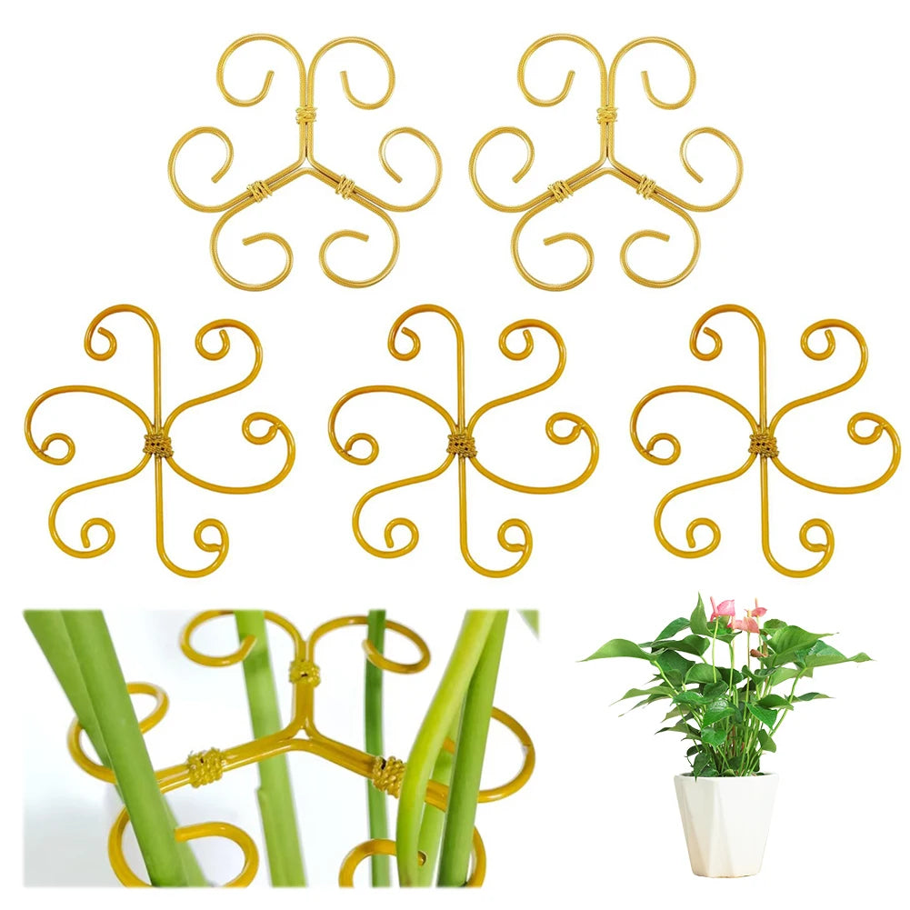5Pcs Plant Stem Support Reusable Monstera Stem Holder & Stabilizer Peaceful Pleasures Health and Wellness