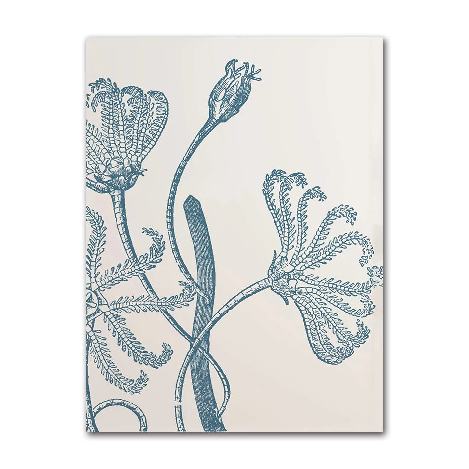 Coastal Blue Beach Antique Shell Sketch Poster, Starfish Jellyfish Conch Oil Painting Print, Wall Art for Kids Room Home Decor Peaceful Pleasures Health and Wellness 82052-14 30x40cm Unframed