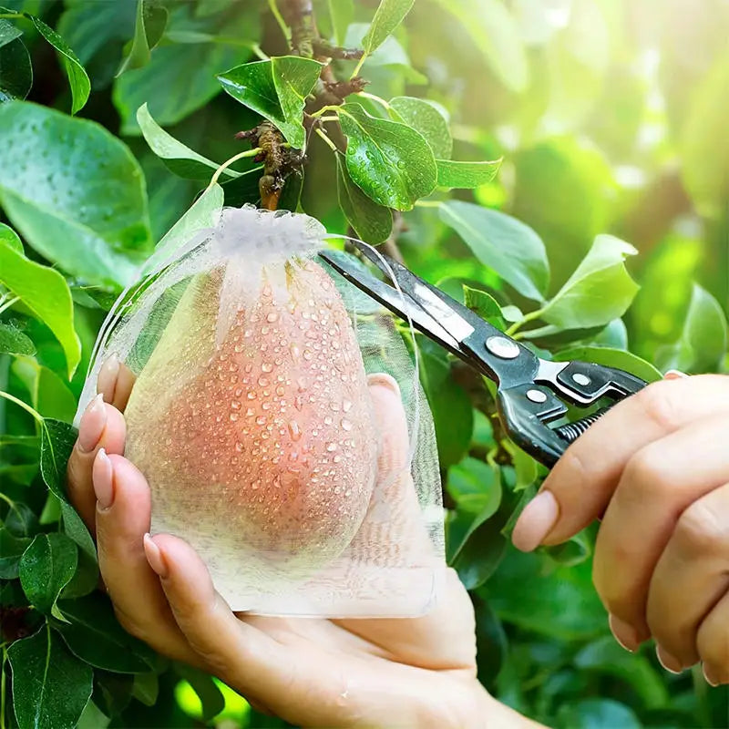 50/100Pcs/Pack White Fruit Protection Bags Organza Reusable Drawstring Pocket Garden Fruit Mesh Bag Peaceful Pleasures Health and Wellness