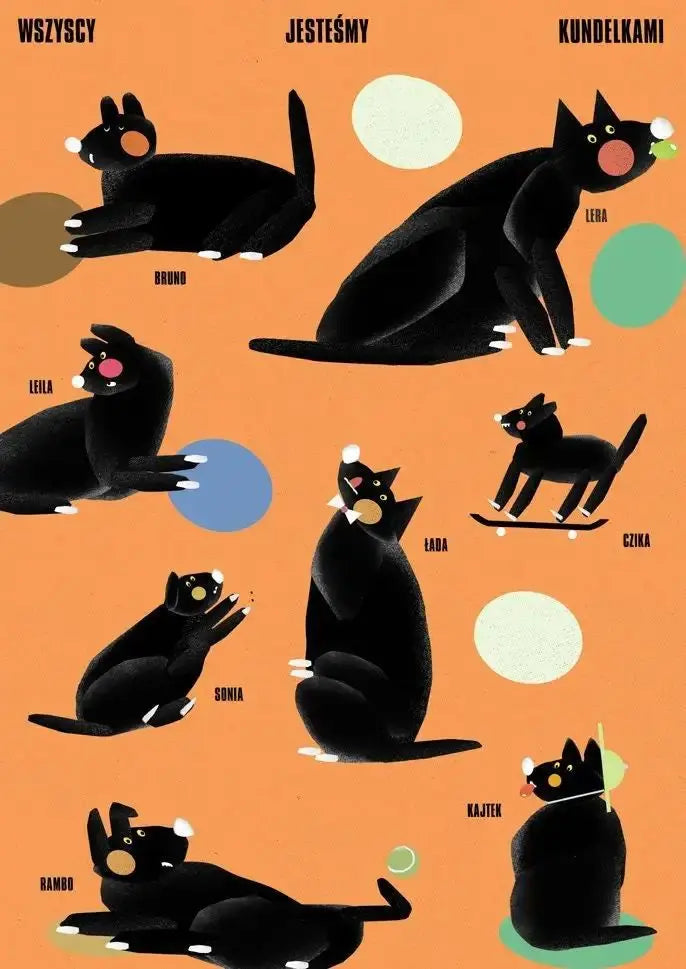 Original Polish Funny Abstract Animal Retro Poster Canvas Printing World Cat Day Dog Storks Wall Art Club Room Home Bar Decor Peaceful Pleasures Health and Wellness 6 50x70cm Unframed