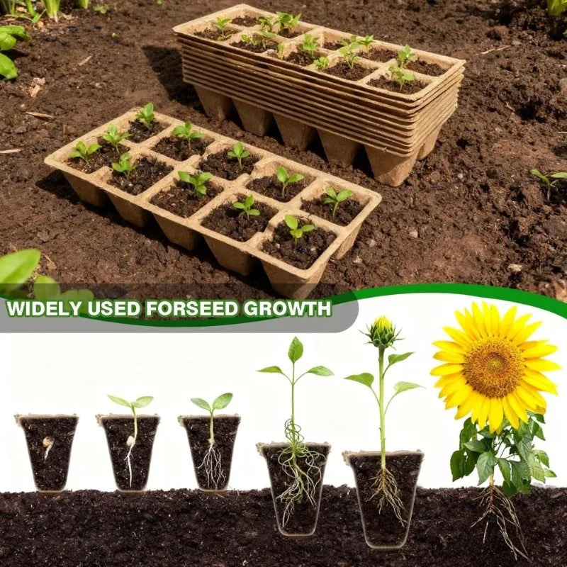 10-Cell Biodegradable Seed Starter Tray | Eco Paper Pulp Pots