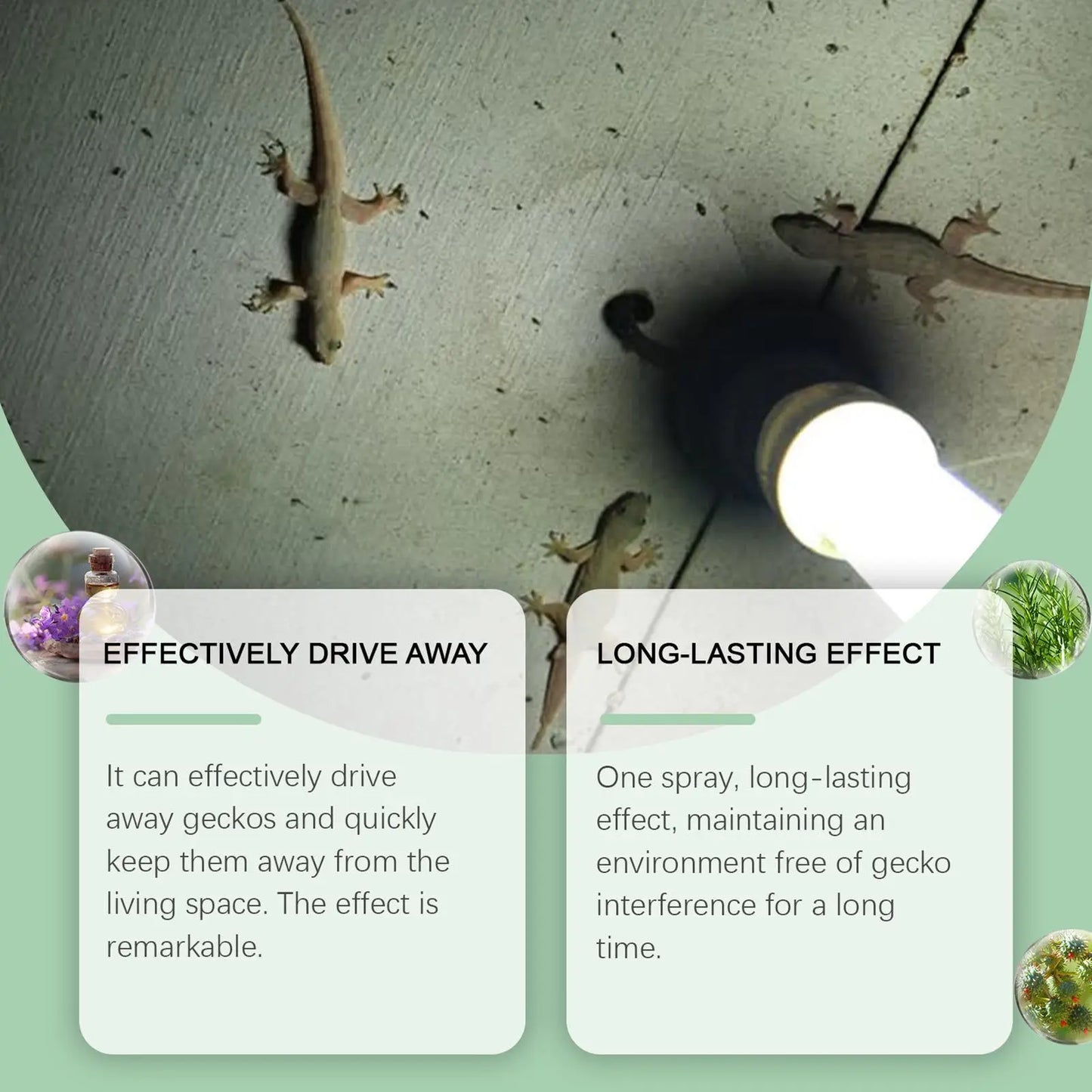 Natural Lizard & Gecko Repellent Spray 50ml | Lavender Oil