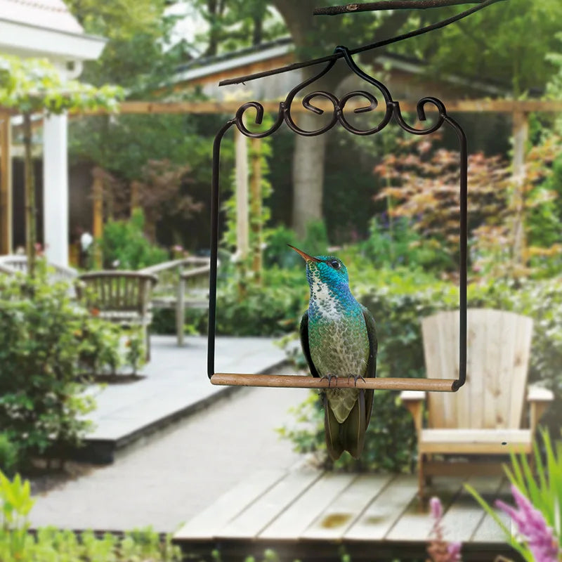 Portable Bird Stand Parrot Stand Bird Stand Birdcage Stand Platform Small Live Bird Training Accessories Budgerigar Peaceful Pleasures Health and Wellness
