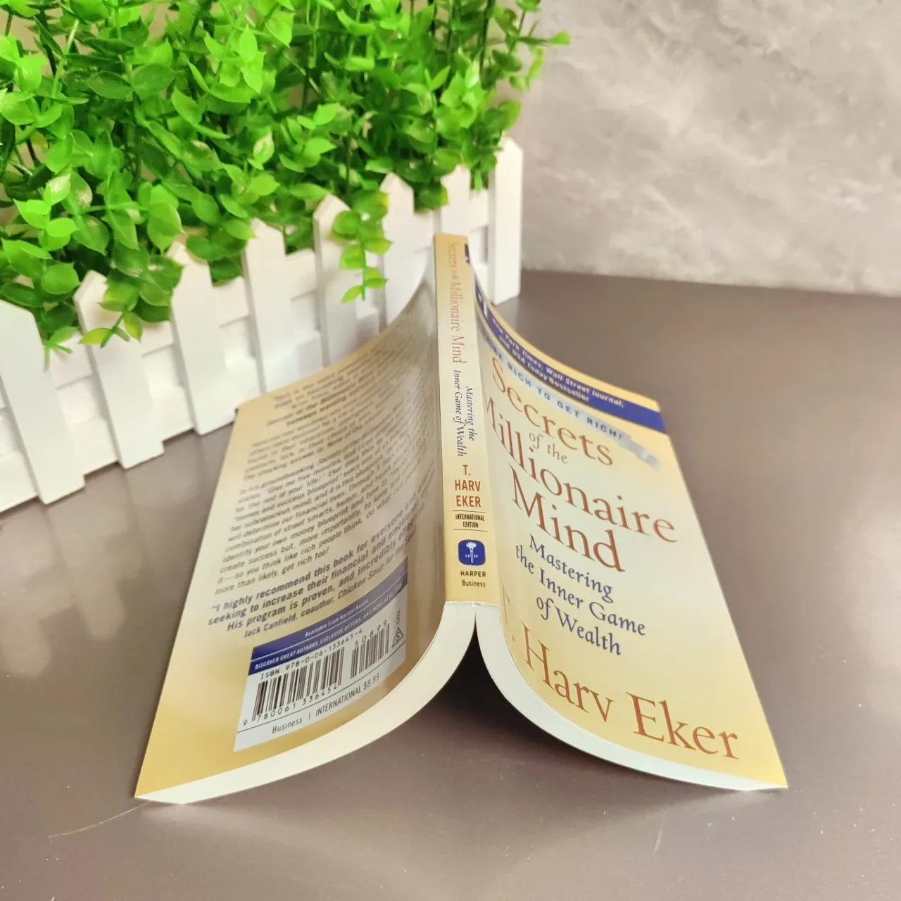 Bview Art Millionaire Mind Secrets Master Wealth Mindset T Harv Eker