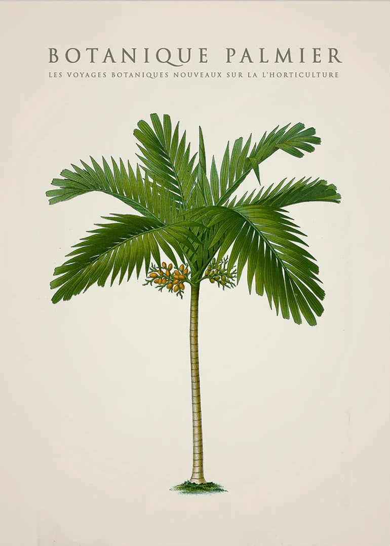 Tropical Palm & Banana Tree Vintage Botanical Canvas Wall Art Botanical Canvas Print Peaceful Pleasures Health and Wellness 17 40x50cm