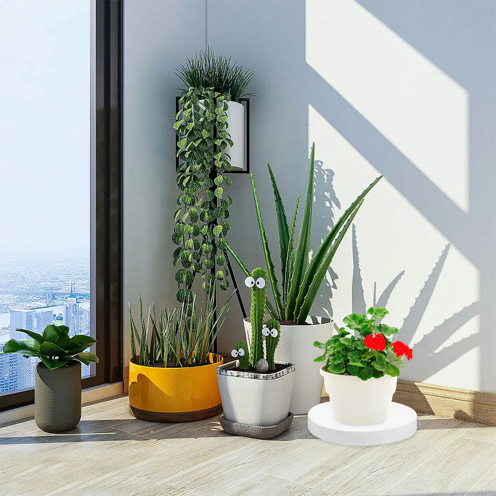 Flowerpot Tray Rolling Plant Tray PP Iron Base Indoor Outdoor Plant Mover Smooth Wheels Protector Planter Trays with Wheels Peaceful Pleasures Health and Wellness