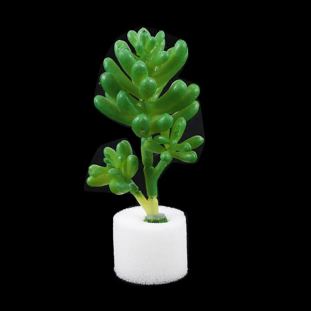 50 Pcs Hydroponic Nursery Sponge Plugs – Soilless Growing Medium
