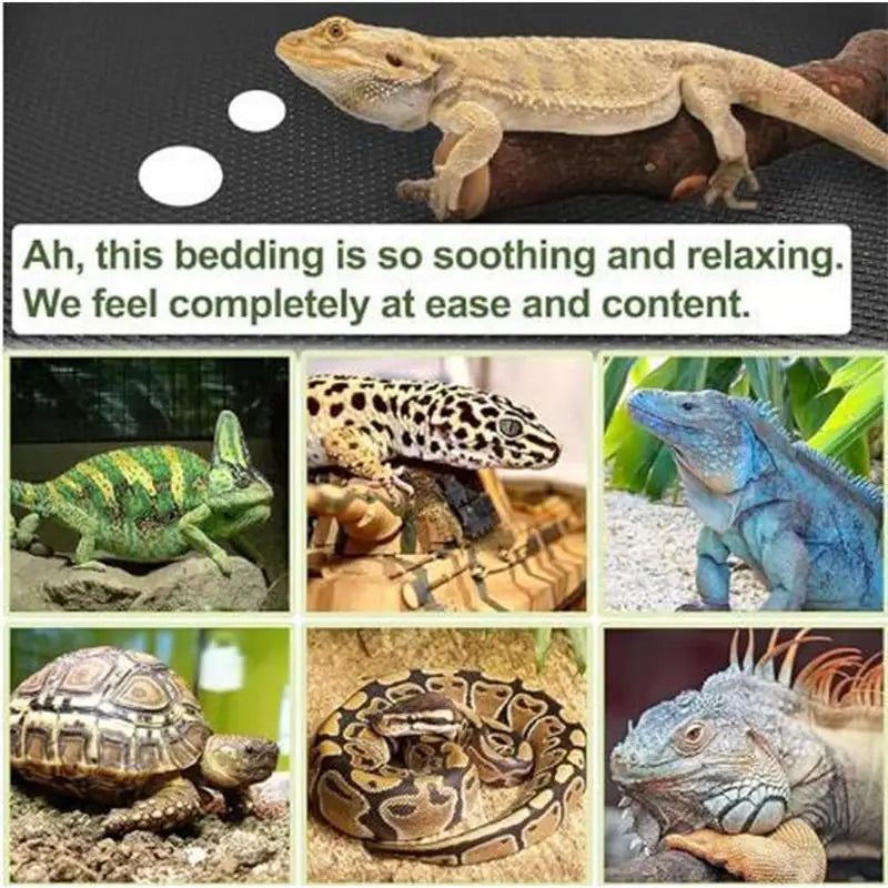 Reptile Carpet Terrarium Liner EVA Mat – Snake, Gecko, Lizard