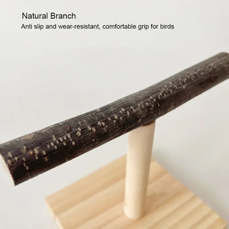 Natural Wood Branch Desktop Perch Stand – Birds & Small Pets