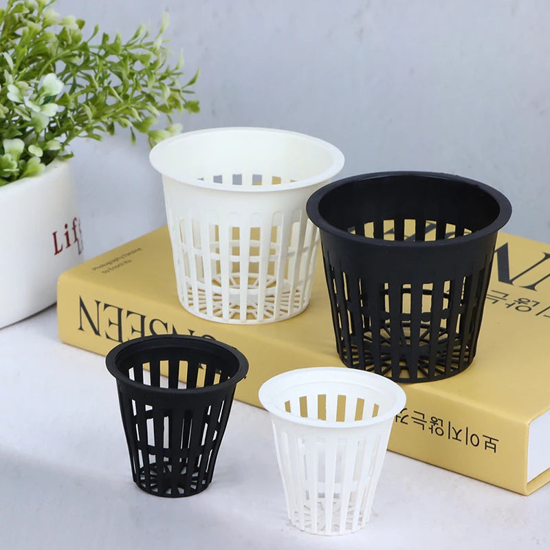 10PCS 2 Inch 3 Inch Grow Orchids Hydroponics Cups Planting Mesh Pot Soilless Net Basket Slotted Colonization Container Peaceful Pleasures Health and Wellness