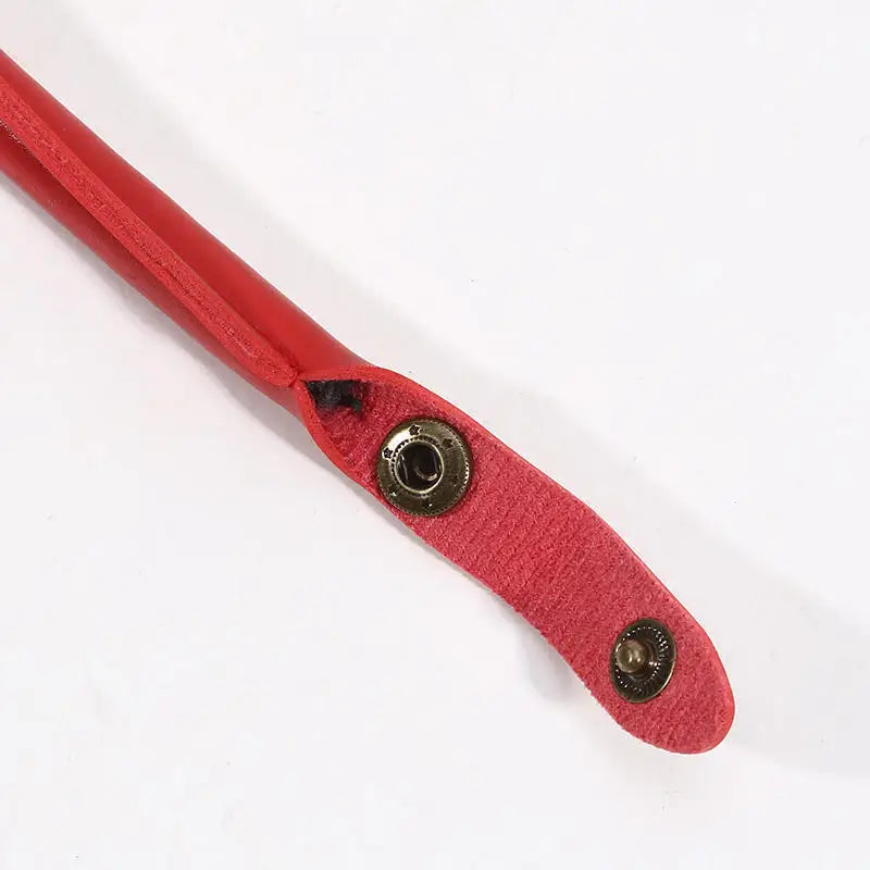 PU Leather Bag Strap Replacement Detachable Snap Clasp Shoulder Handles for Handbags DIY Bag Accessories Carrying Peaceful Pleasures Health and Wellness