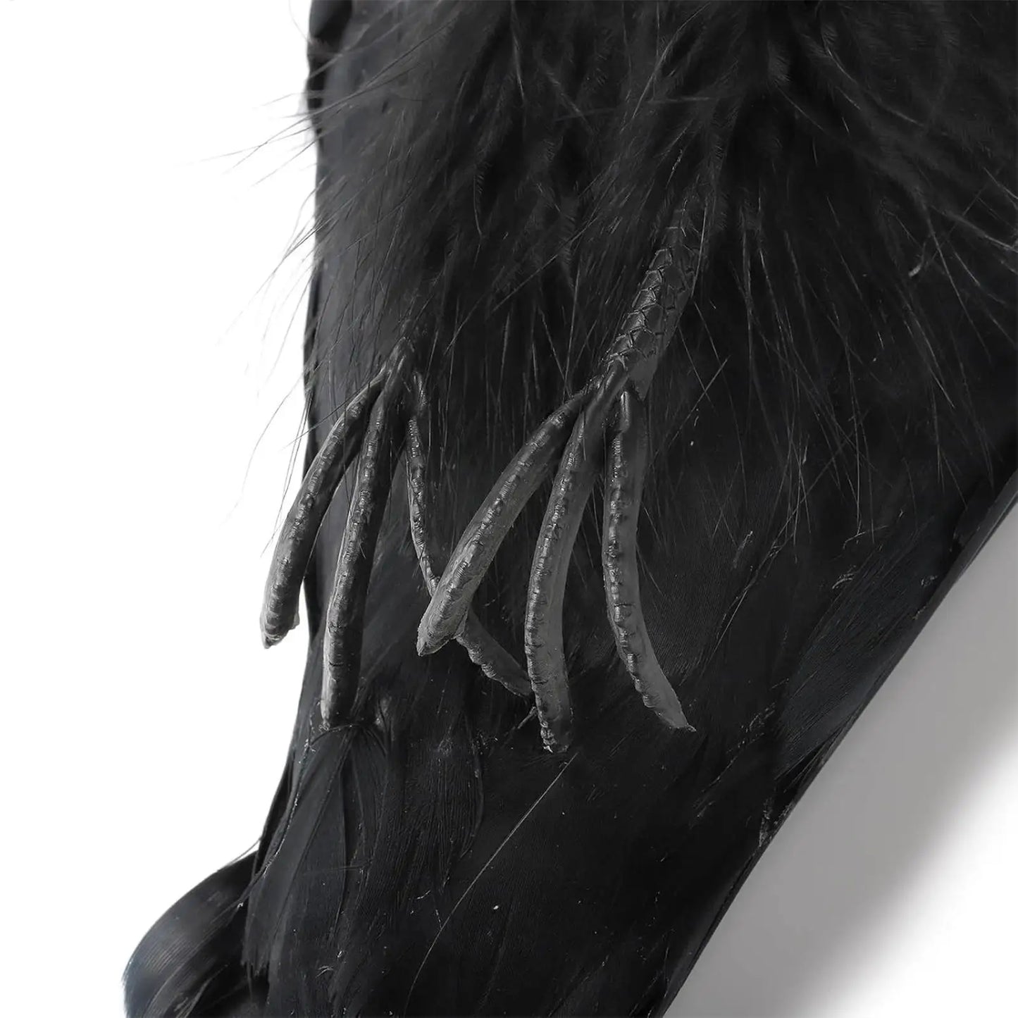 Realistic Black Crow Decoy | Garden Deterrent & Halloween Prop