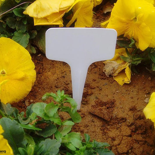 Tiquettes De Jardin Blanches 100 Pi Ces En Plastique Tanche Peaceful Pleasures Health and Wellness Default Title