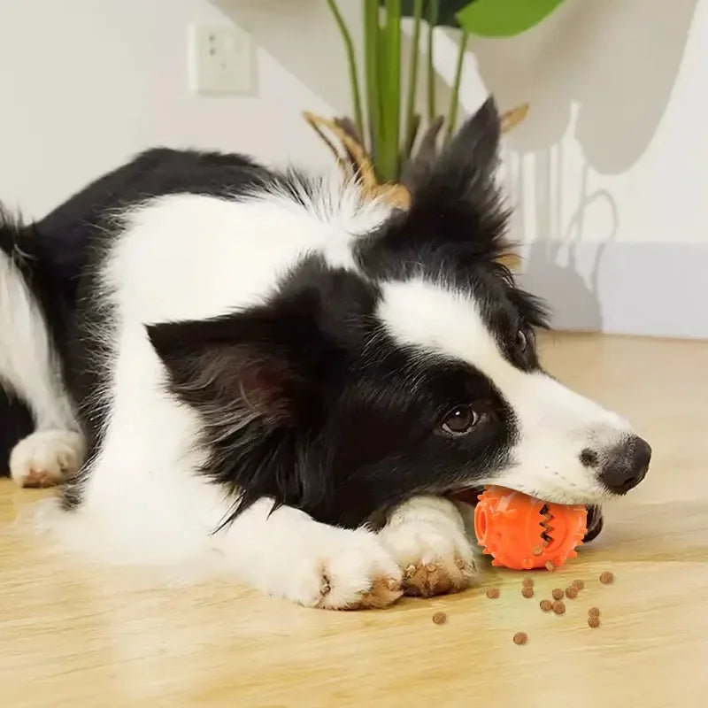 Dog Treat Dispensing Ball – Interactive Chew & Dental Toy