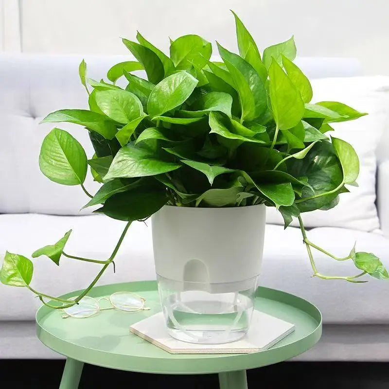 Self Watering Pots for Plants – Double-Layer Plastic Flower Pot with Drainage