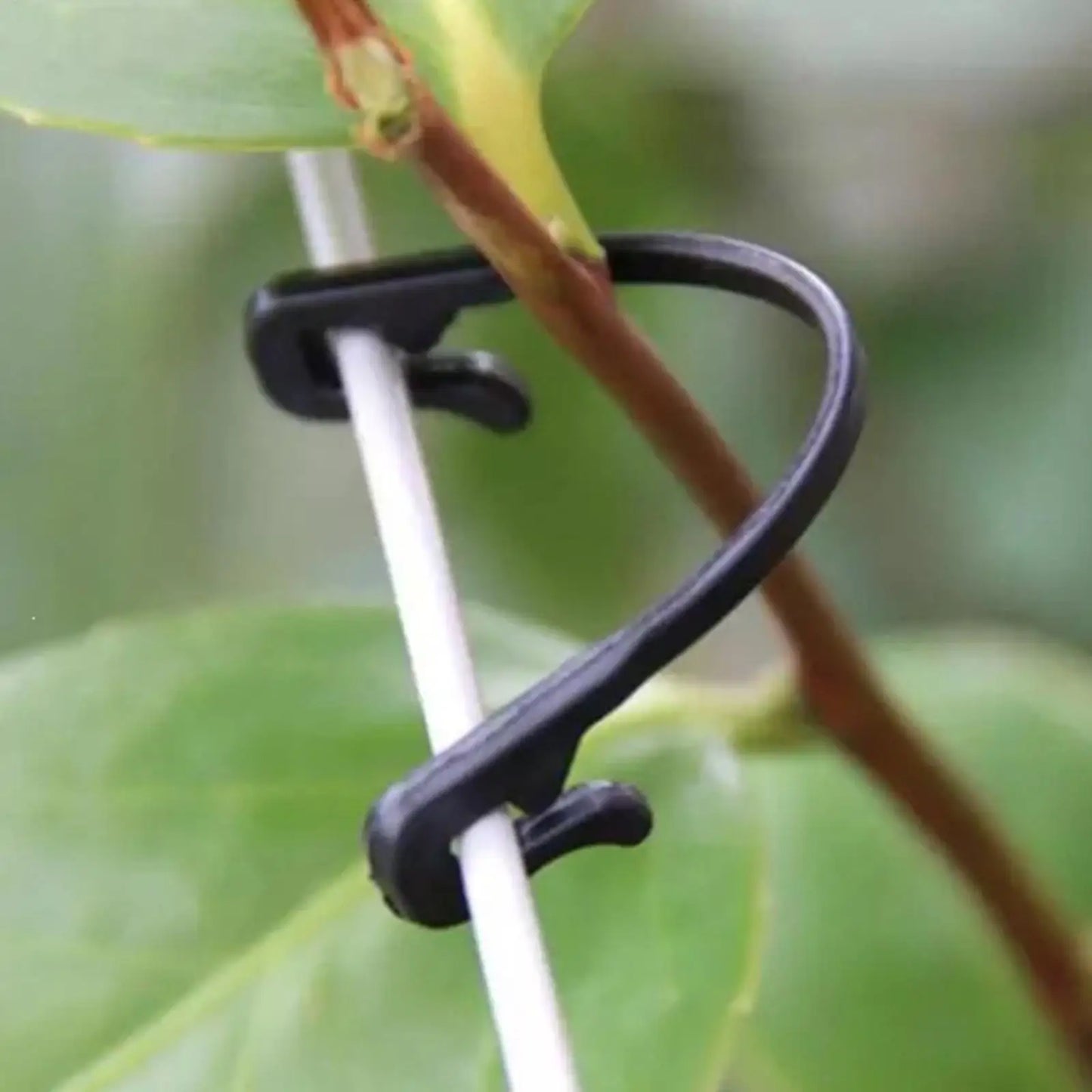 Trellis Clips 50pcs Heavy Duty Weather-Resistant Garden Plant Clips For Raspberry Grape Dragon Fruit Tomato Rose Kiwi Outdoor Peaceful Pleasures Health and Wellness
