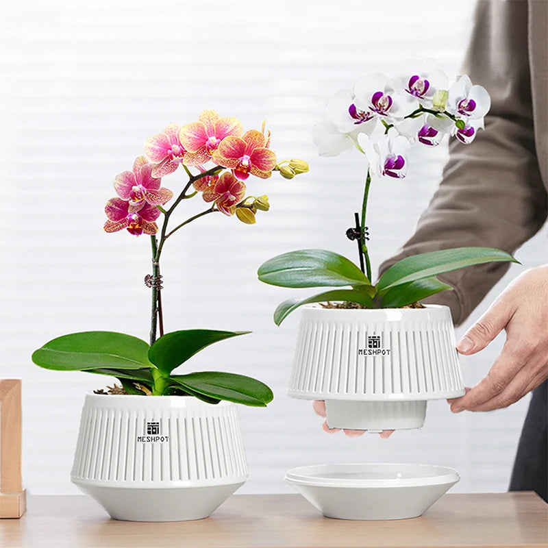 Meshpot Orchid Pots with Holes | Plastic Planter Indoor Outdoor