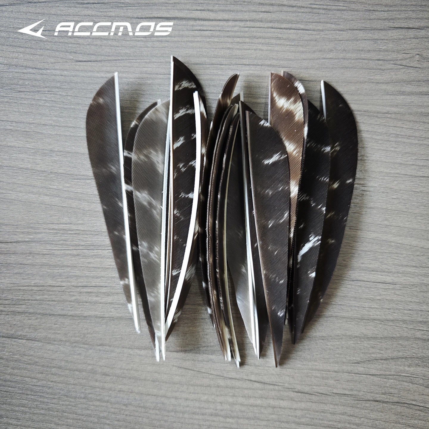 25 RW LW Natural Turkey Archery Arrow Feathers Shield 3 4 Fletching