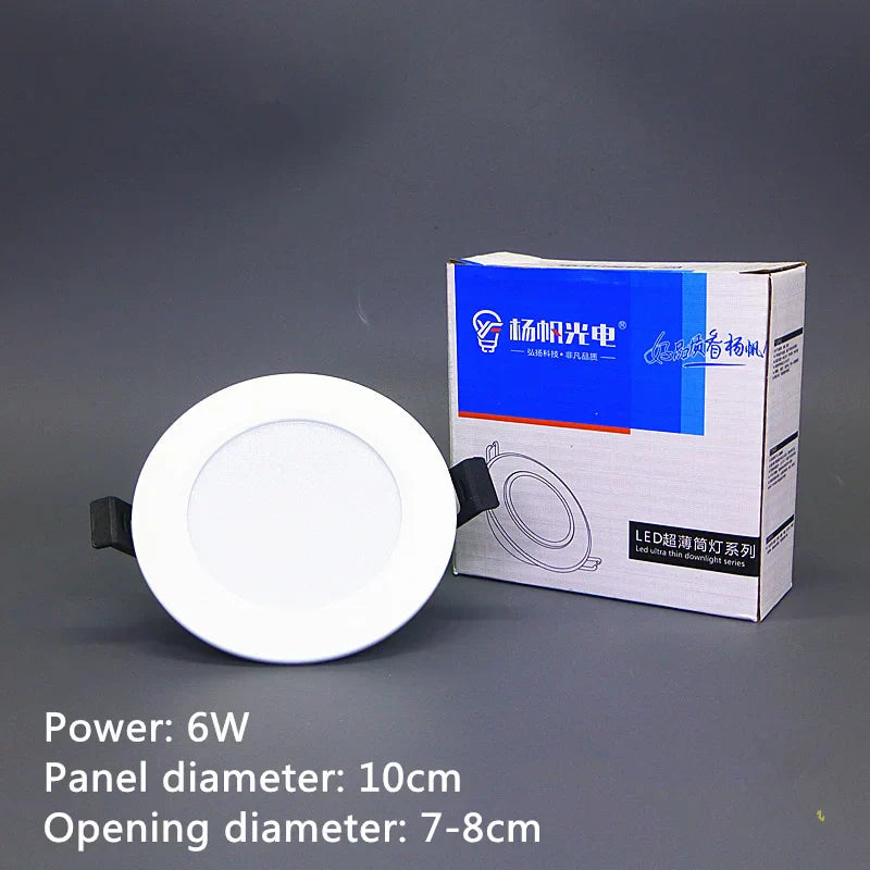 LED Recessed Downlight Ceiling Spotlight 6W–20W | AC220V