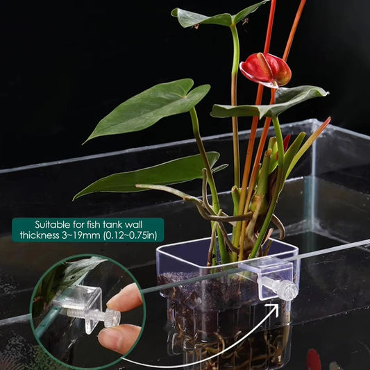 Aquarium Hydroponic Planting Cups | Clear Acrylic Fish Tank Holder 3pc Aquarium Plant Holder Peaceful Pleasures Health and Wellness Transparent