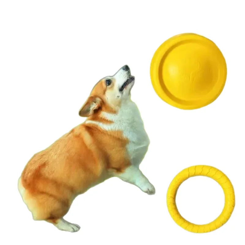 Indestructible Dog Ring Toy – Fetch, Float & Chew All Sizes