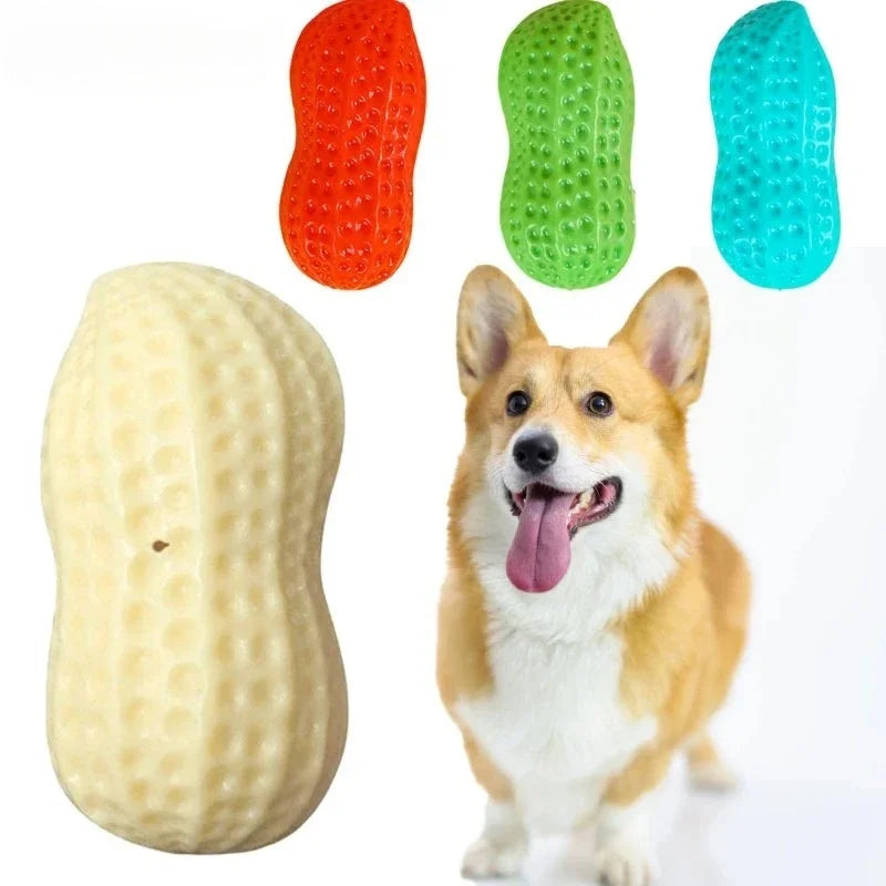 Dog Squeaky Peanut Chew Toy | TPR Teeth Cleaning Interactive
