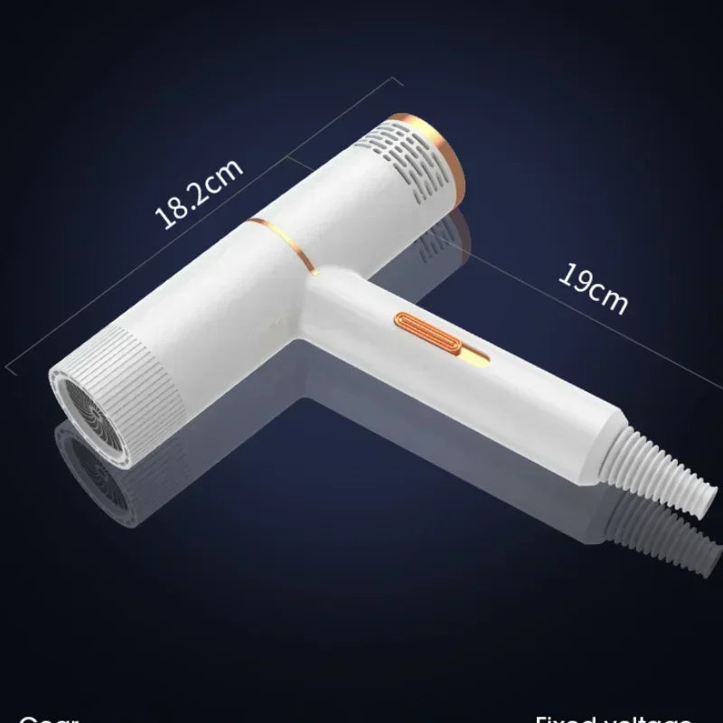 Professional Hair Dryer 110V/220V, Powerful Fast Heating High-speed Styler for Home and Dormitory Salon Use Peaceful Pleasures Health and Wellness