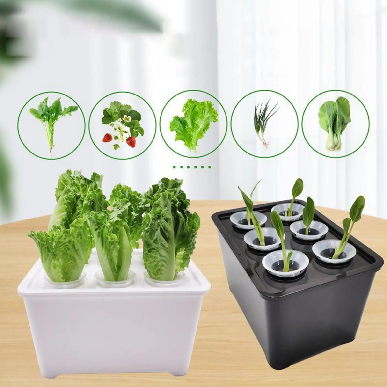 Indoor Hydroponic Planting Kit Complete Seedling Box for Growing Lettuce, Flowers on Balcony, in Apartments & Hotels Peaceful Pleasures Health and Wellness