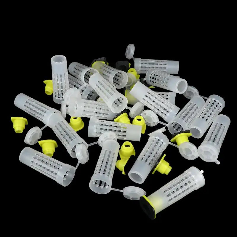 Queen Bee Rearing Protection Cage 20pcs | Beekeeping Tool