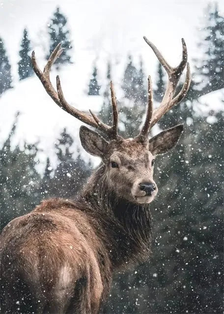 Christmas Collection Canvas Print Art Santa Christmas Tree Deer Poster Canvas Wall Art Picture Unique Home Decor Christmas Gifts Peaceful Pleasures Health and Wellness ZLH5462 20x30cm No Frame