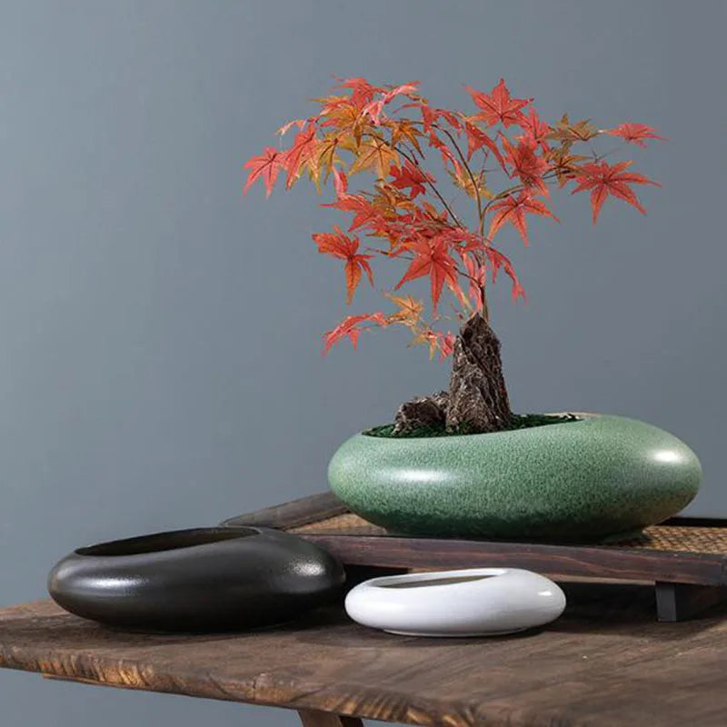 HEYYES Ceramic Bonsai Vase | Succulent & Fern Plant Pot