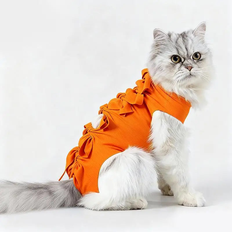 Cat Recovery Suit – Post-Op Anti-Licking Protective Clothing