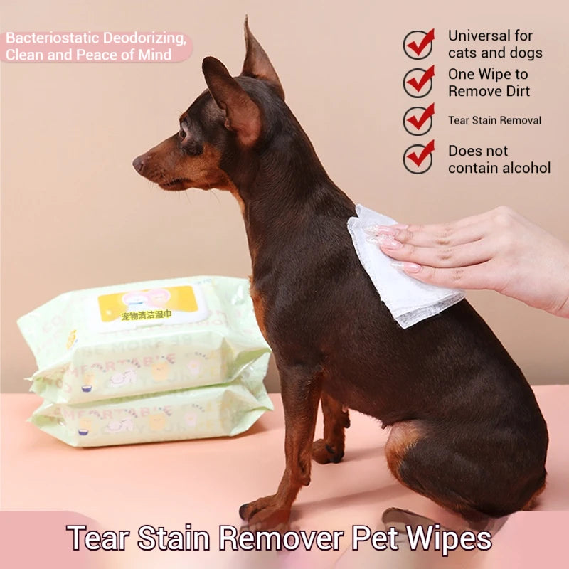 Pet Wipes for Dogs & Cats | Tear Stain & Body Cleaning 3-Pack