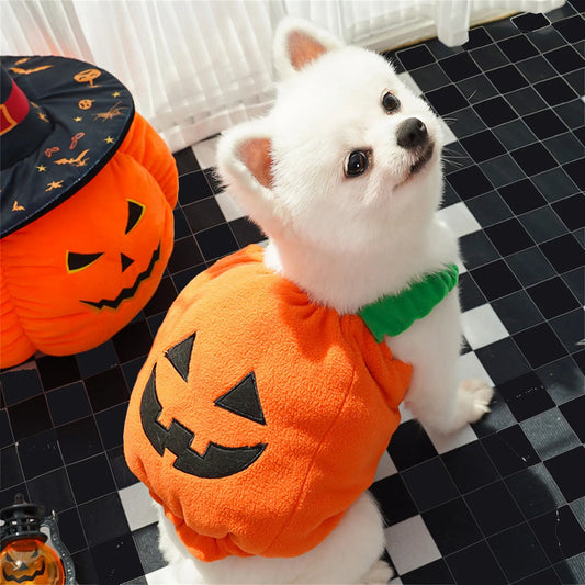 Halloween Pumpkin Costume for Dogs & Cats | Funny Pet Outfit Pet Halloween Costume Peaceful Pleasures Health and Wellness