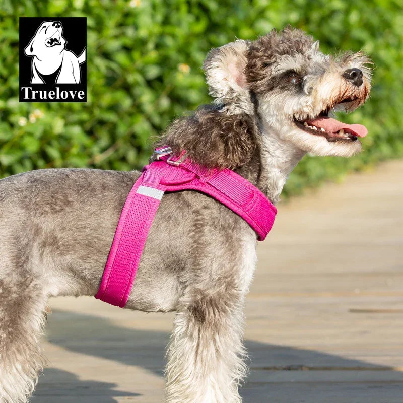 Truelove Easy to Take-on Dog Harness Soft Material Fashion Design Adjustable Reflective Pet Har TLH3013 TLH30131 Peaceful Pleasures Health and Wellness Fuchsia S China Mainland