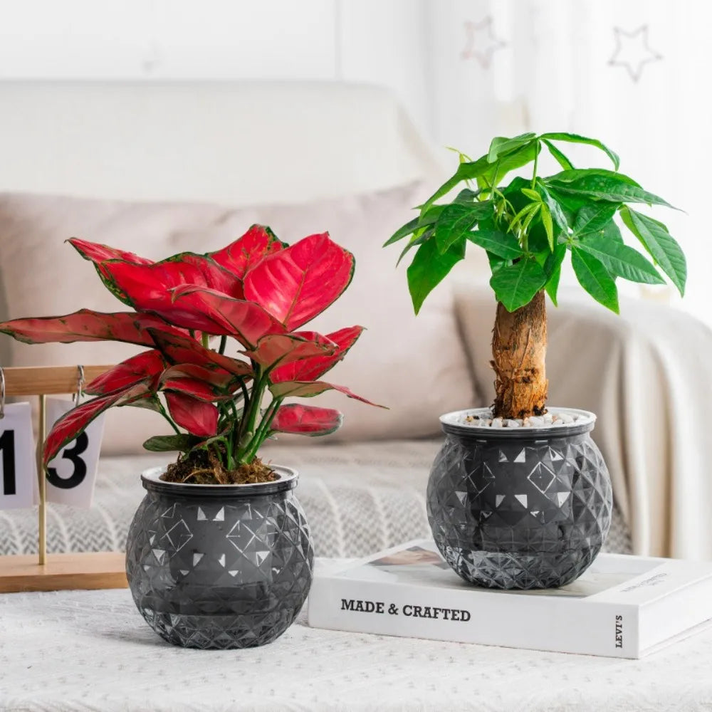 New Self Watering Hydroponic Plants Pot Plastic Removable Flowerpot Mini Succulent Planter Tabletop Vase Peaceful Pleasures Health and Wellness