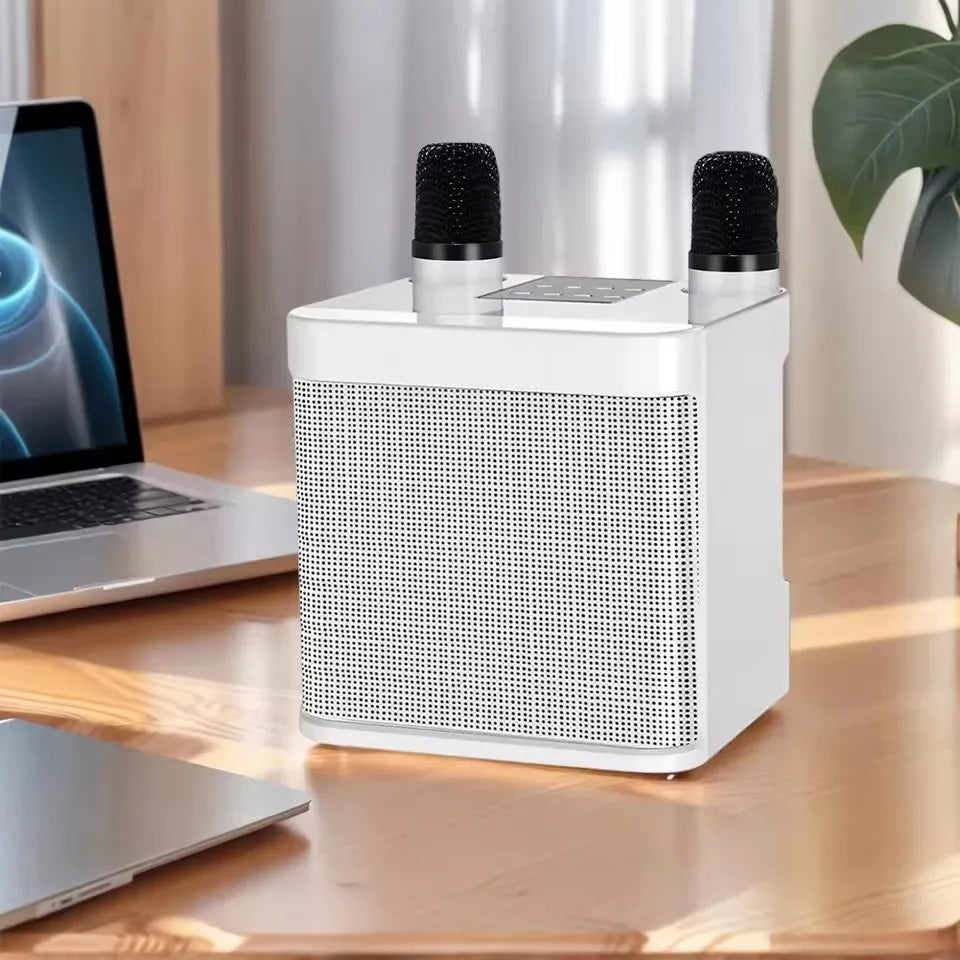 AyeBeau Portable Karaoke Bluetooth Speaker with Microphone