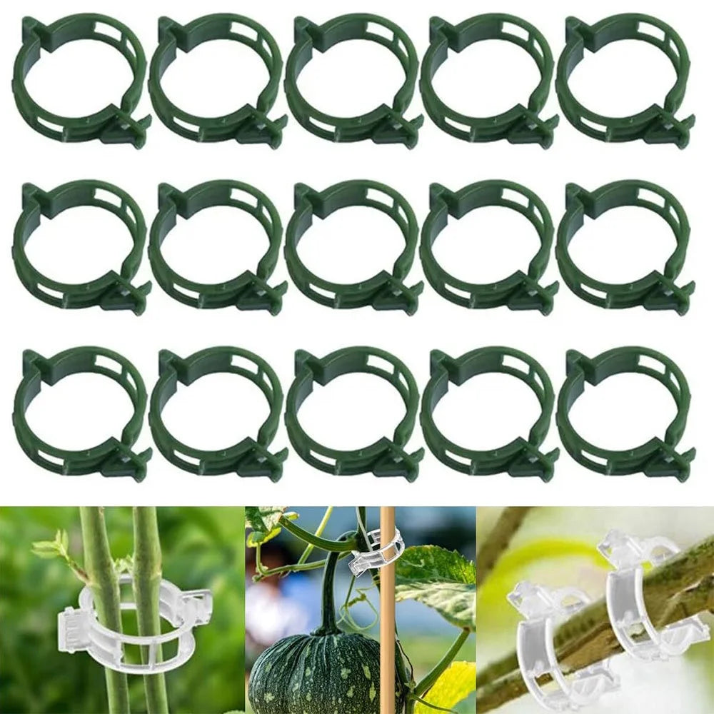 Plastic Plant Support Clips for Tomatoes & Climbing Plants Plant Support Clips Peaceful Pleasures Health and Wellness