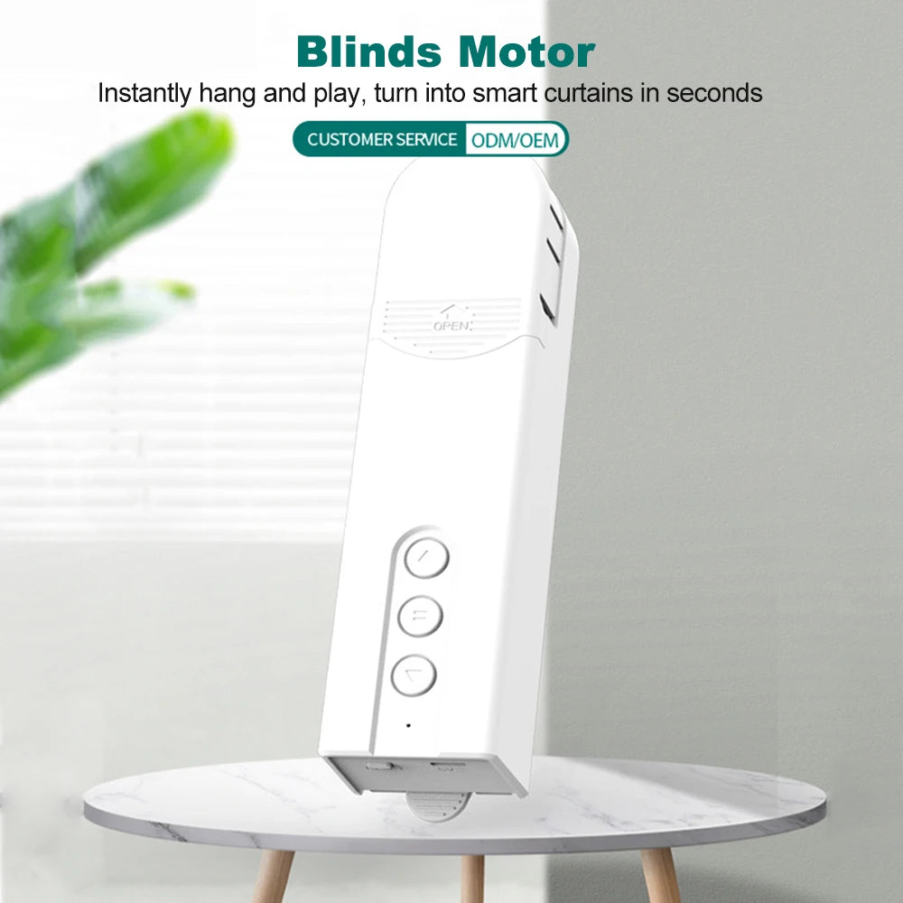 Smart Blind Motor Wifi Automatic Electric Roller Shutter Shadows App Control Lifting Curtain Opening Closing Driver Peaceful Pleasures Health and Wellness