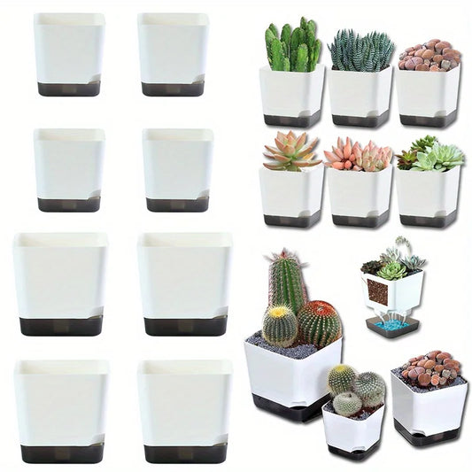 5-Pack Self Watering Mini Plant Pots with Water Reservoir Self-Watering Planters Peaceful Pleasures Health and Wellness